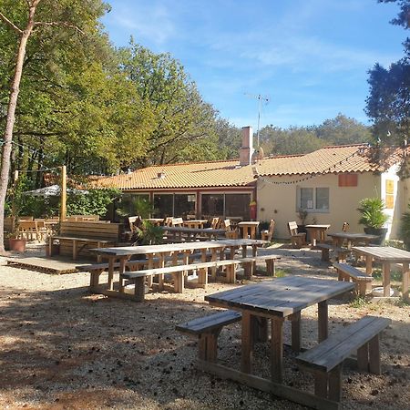 Mobilhome Proche Puy Dufou La Boissiere-de-Montaigu ภายนอก รูปภาพ